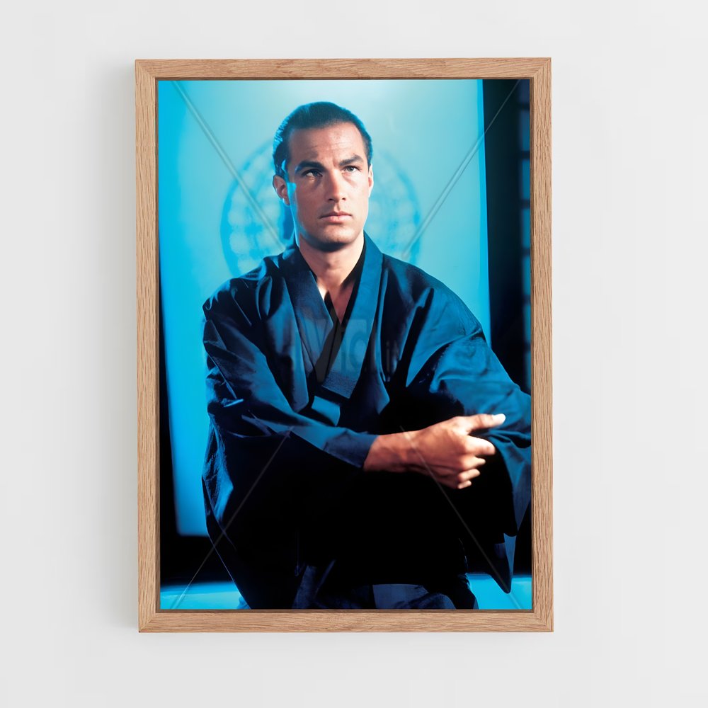 Poster Steven seagal agrémenter – affiche Aikido (vue 4)